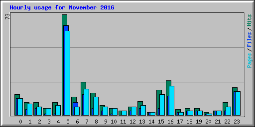 Hourly usage for November 2016