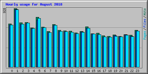 Hourly usage for August 2018