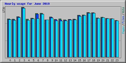 Hourly usage for June 2019