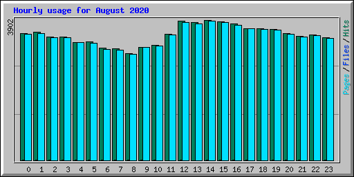 Hourly usage for August 2020