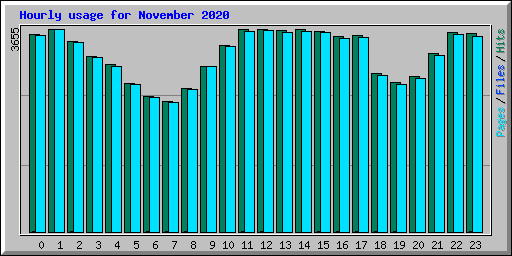 Hourly usage for November 2020