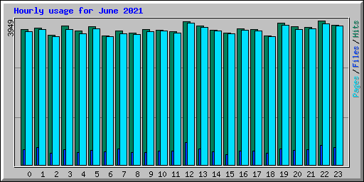 Hourly usage for June 2021