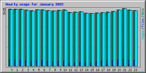 Hourly usage for January 2022