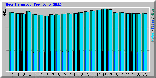 Hourly usage for June 2022