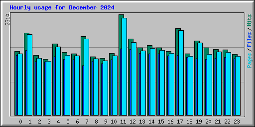 Hourly usage for December 2024