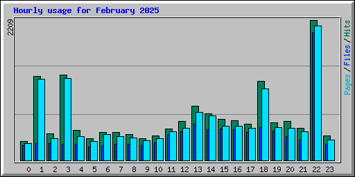 Hourly usage for February 2025